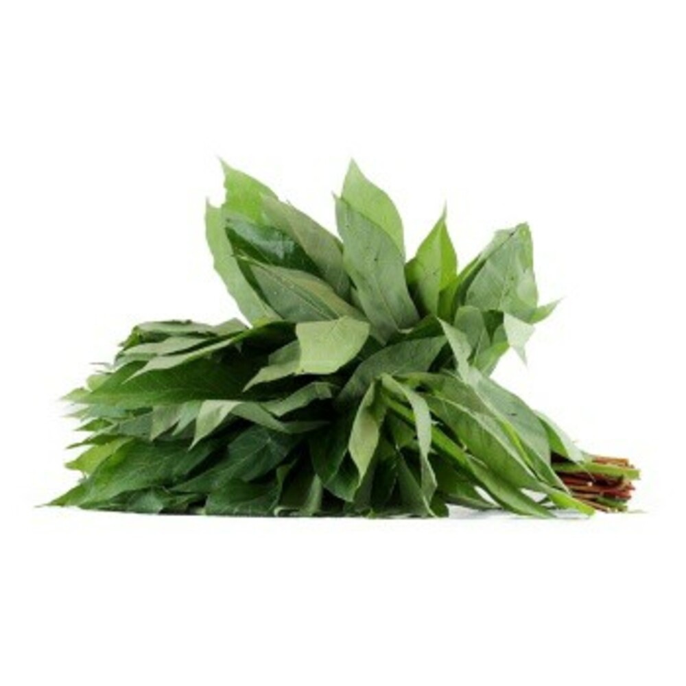 WhatsApp Image 2025-10-24 at 11.09.47_3372f9ea