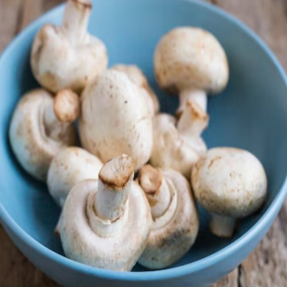 WhatsApp Image 2025-10-24 at 11.09.50_e45c97da