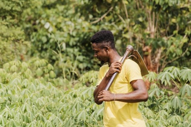 countryside-man-working-field_23 countryside-man-working-field_23